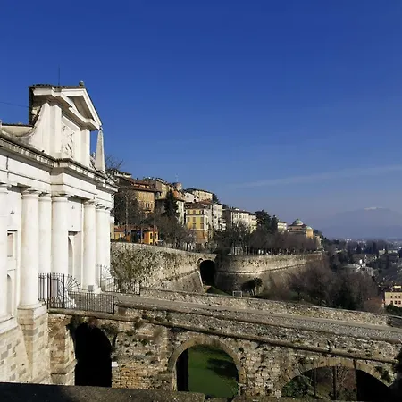 Margarita Bergamo